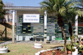 SP realiza 26 reformas para acessibilidade nas escolas da rede estadual