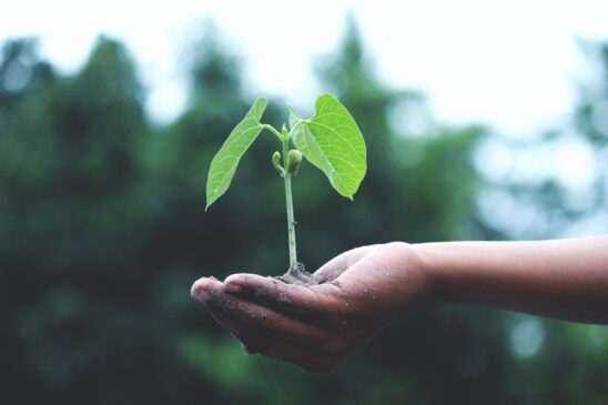 Construir uma agenda voltada à transição ecológica e aos Objetivos do Desenvolvimento Sustentável é olhar para os problemas oriundos da nossa forma de existir no planeta de forma global