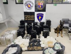 Drogas e armas foram encontradas com a ajuda do cão Rollo