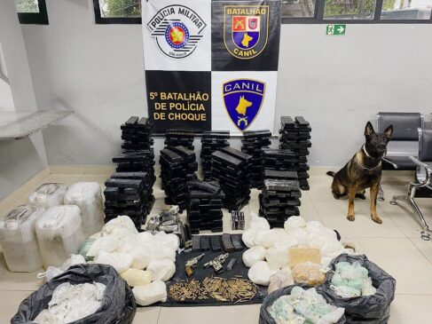 Drogas e armas foram encontradas com a ajuda do cão Rollo