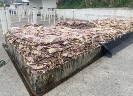 Carne estragada é encontrada em Carapicuíba