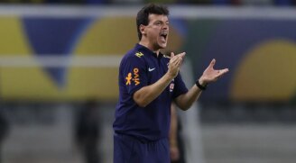 Fernando Diniz, Ex-técnico da Seleção Brasileira