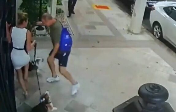 O agressor chutou os cachorros da advogada