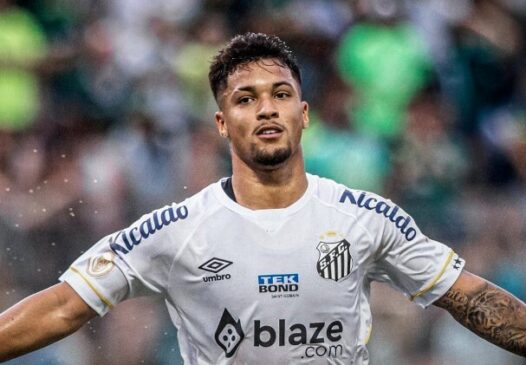 Santos conseguiu vitória de virada sobre o Palmeiras
