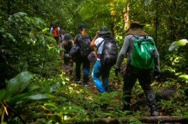 As visitas podem ser agendadas pela Associação Bertioguense de Ecoturismo (ABECO)