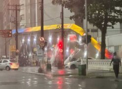 Os serviços essenciais e os de atendimento ao público do Governo de São Paulo irão funcionar nesta segunda-feira (6)