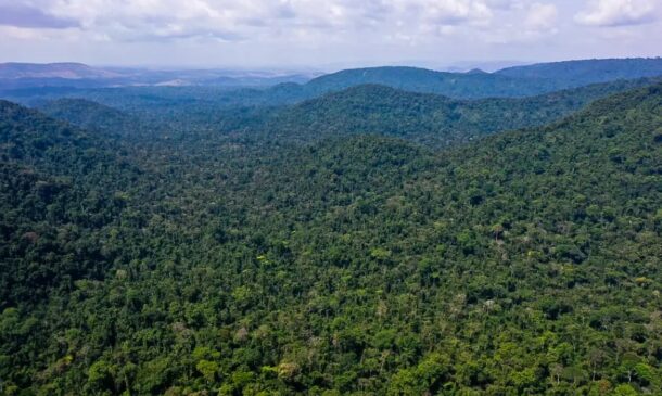 Amazônia