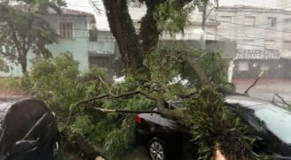 O caos vivenciado em São Paulo desde a chuva da última sexta-feira (3)