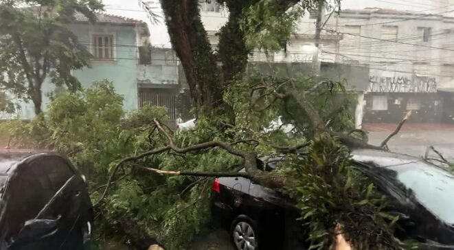 O caos vivenciado em São Paulo desde a chuva da última sexta-feira (3)