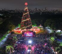 Árvore de natal da Coca-Cola Femsa Brasil é instalada no Parque Villa Lobos, na Capital