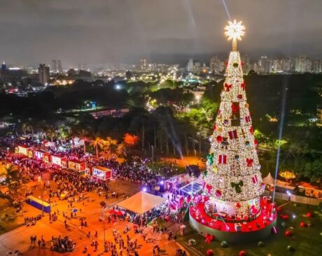 Árvore de Natal instalada no Parque Ibirapuera, em 2022