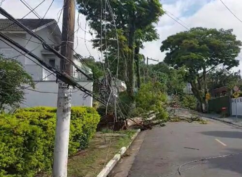 De acordo com o Corpo de Bombeiros da Polícia Militar do Estado de São Paulo, ocorreram, só da meia-noite deste sábado (4) até às 12h35, 528 chamados para quedas de árvores
