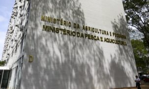 O azeite de oliva é o segundo produto alimentar mais fraudado do mundo, atrás apenas do pescado