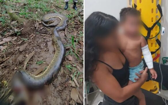 O menino estava brincando quando os pais ouviram gritos e foram até o local