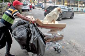 Pessoas em situação de rua estão sofrendo com o clima de terror imposto por encapuzados. Prefeitura está aceitando denúncias pelo 153