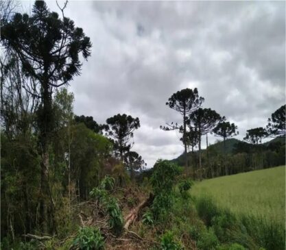 Os dados compilados incluem os limites do bioma estabelecidos pelo Instituto Brasileiro de Geografia e Estatística (IBGE)