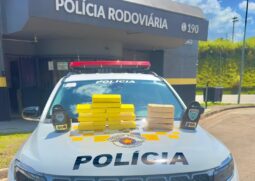 Foram apreendidos 10 tabletes de cocaína e 4 de pasta-base, totalizando 14,6 kg de entorpecentes