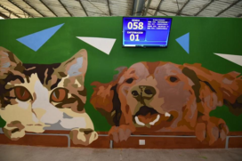 Mural do terceiro Hospital Veterinário Público de São Paulo, criado para atender a uma demanda antiga da população da zona Sul