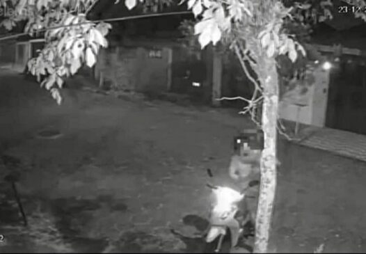Imagens mostraram o homem, de 28 anos, acariciando o animal antes de matá-lo