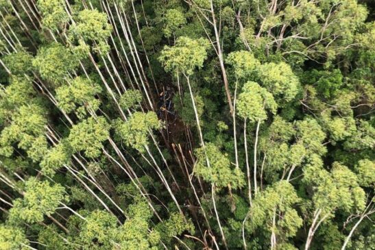 Helicóptero desaparecido é localizado em área de mata em Paraibuna