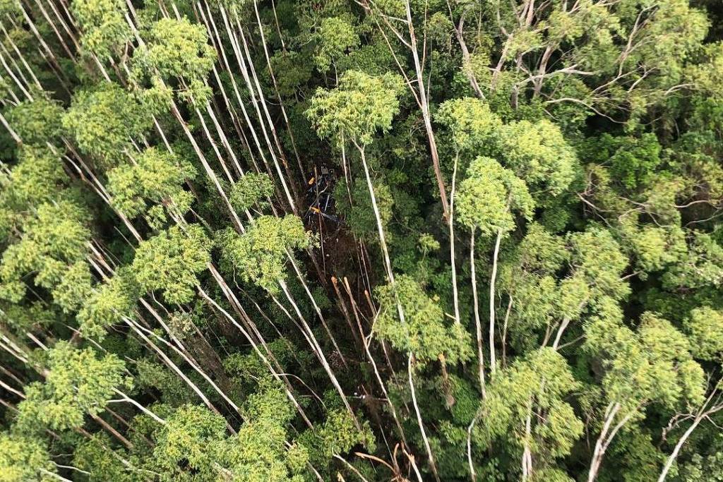 Helicóptero desaparecido é localizado em área de mata em Paraibuna