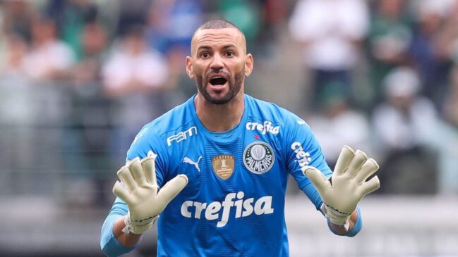 Goleiro Weverton renova com Palmeiras até o fim de 2026