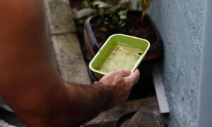 Itaquera, na zona leste, tem 188 casos e incidência de 88