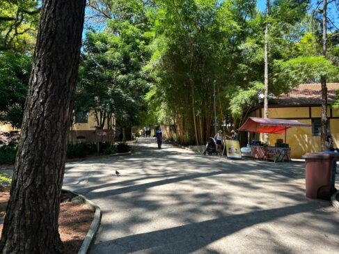 Parque da Água Branca, na zona oeste de São Paulo