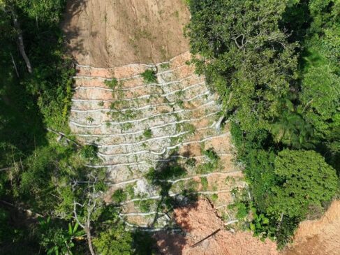 A ação para estabilizar as marcas de deslizamentos nas encostas no município de São Sebastião foi iniciada em novembro e recuperou 2,1 hectares
