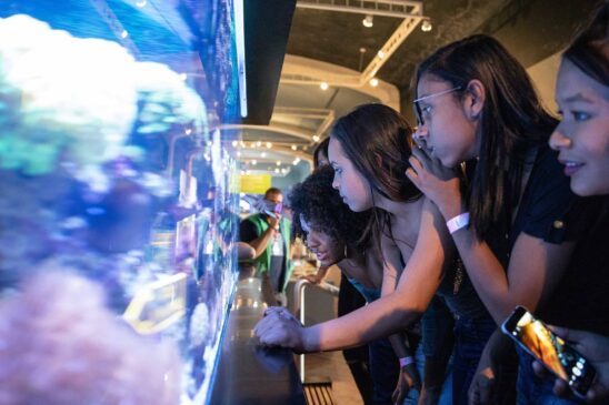 A exposição está aberta até 18 de fevereiro, das 12h às 18h, com a exibição de diversas atrações do museu