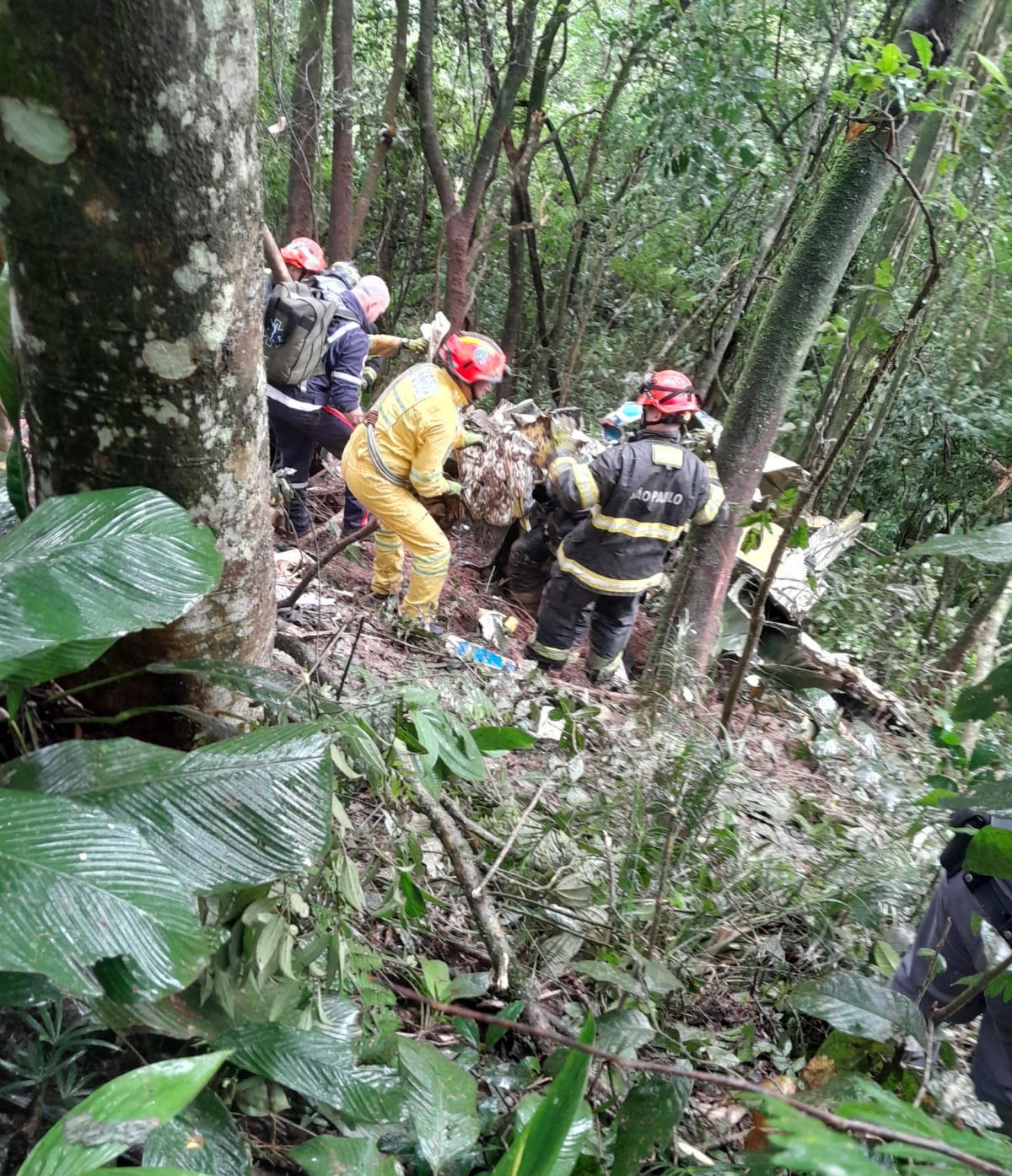 Avião caiu em Rio Grande da Serra, na Grande São Paulo
