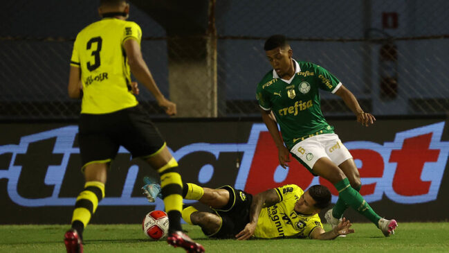 Com a vitória, o Palmeiras chegou a 17 pontos na liderança do Grupo B e está apenas a dois do Santos que ocupa a liderança geral da competição, mas com um jogo a mais