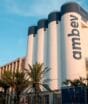 Ambev abre mais de 400 vagas de emprego; veja cargos e como se candidatar