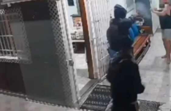 Imagens da câmera de segurança mostram os criminosos pulando o muro da casa