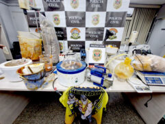 Produtor de K9 da zona sul é preso após operação da Polícia Civil nesta semana