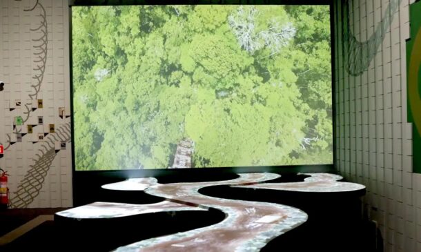A mostra vai apresentar a biodiversidade e o conhecimento milenar do maior bioma tropical do mundo