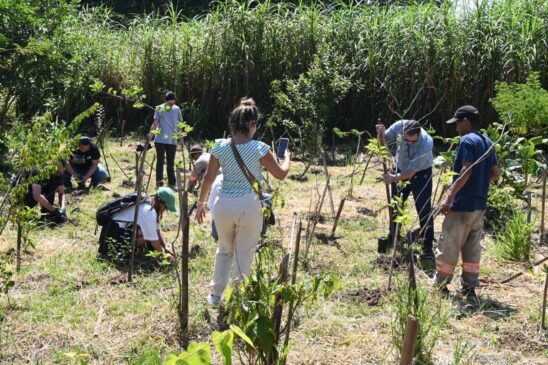 A Secretaria de Turismo e Viagens de São Paulo realizou na última sexta-feira (15) o plantio de 476 árvores nativas da Mata Atlântica