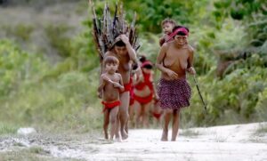 Terra Yanomami; Congresso analisa crédito de R$ 1 bi para proteção dos povos indígenas