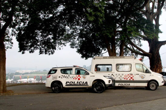 Segurança: Lollapalooza contará com delegacia móvel e agente feminina