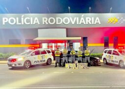 Homem é preso com 186kg de maconha no interior de SP