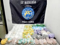 PM localiza depósito e apreende quase 10 mil porções de drogas em SP
