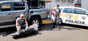 Família transportava 48 kg de cocaína em tanque da caminhonete