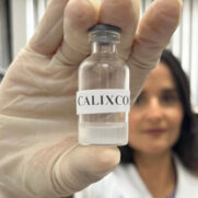 Uma equipe de cientistas brasileiros busca com a Calixcoca inibir os impactos da cocaína e combater a dependência