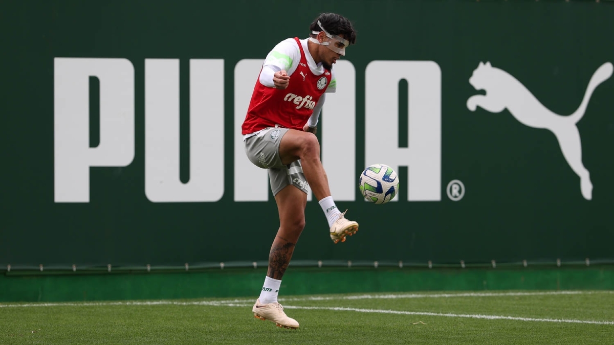 Gustavo Gómez é destaque no Palmeiras