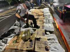Uma ação em conjunta das polícias Civil e Militar resultou na apreensão de 2,5 toneladas de maconha na Rodovia Comandante João Ribeiro de Barros, nas proximidades do município de Santa Mercedes