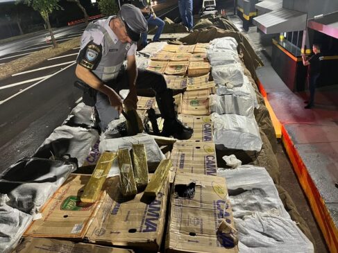 Uma ação em conjunta das polícias Civil e Militar resultou na apreensão de 2,5 toneladas de maconha na Rodovia Comandante João Ribeiro de Barros, nas proximidades do município de Santa Mercedes