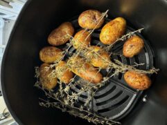 Primeiros modelos de air fryer no Brasil chegaram em 2011