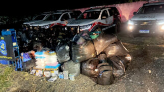 PM encontra 'casas bomba' e apreende 180 porções de drogas em SP; 5 suspeitos foram presos na ação