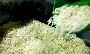 O arroz seria destinado a pequenos varejistas, mercados de vizinhança, supermercados, hipermercados, atacarejos e estabelecimentos comerciais