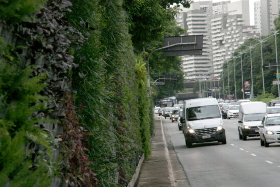 Jardim vertical na 23 de Maio